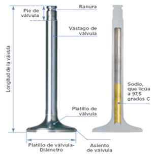 xvalvulas.png.pagespeed.ic_.r7ApwX9E5-